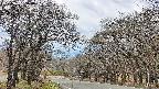 takano2-20250421114030.jpg