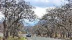 takano2-20250421131031.jpg