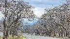 takano2-20250421132030.jpg
