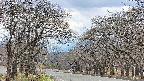 takano2-20250421133031.jpg