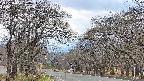 takano2-20250421134030.jpg