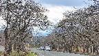 takano2-20250421140031.jpg