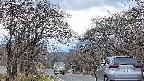 takano2-20250421141031.jpg