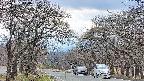 takano2-20250421144031.jpg