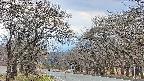 takano2-20250421145029.jpg