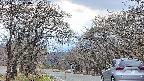 takano2-20250421150031.jpg