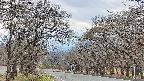 takano2-20250421153032.jpg