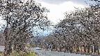 takano2-20250421154031.jpg