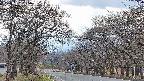 takano2-20250421155031.jpg