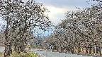 takano2-20250421163030.jpg