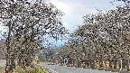 takano2-20250421164031.jpg