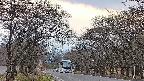 takano2-20250421173031.jpg