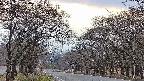 takano2-20250421174031.jpg