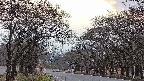 takano2-20250421175031.jpg