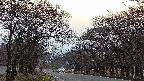 takano2-20250421180030.jpg