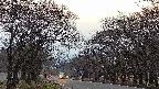 takano2-20250421181031.jpg