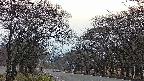 takano2-20250421182029.jpg