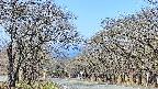 takano2-20250422092028.jpg
