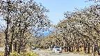 takano2-20250422103030.jpg