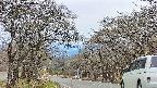 takano2-20250422174029.jpg