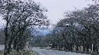 takano2-20250422184030.jpg