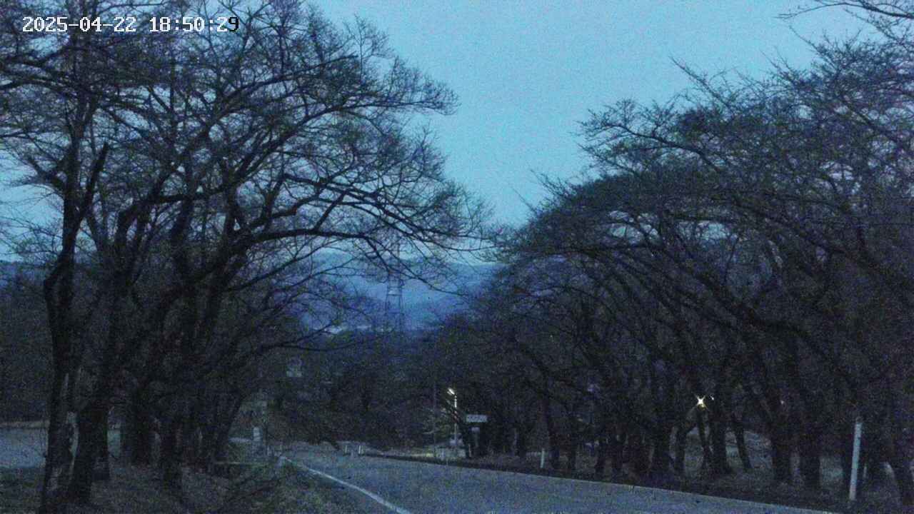 takano2-20250422185030.jpg