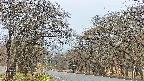 takano2-20250423051030.jpg