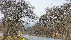 takano2-20250423053032.jpg