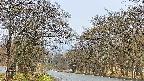 takano2-20250423054029.jpg