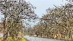 takano2-20250423060029.jpg