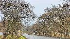takano2-20250423061029.jpg