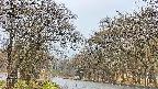 takano2-20250423064029.jpg