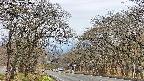 takano2-20250423103030.jpg