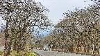 takano2-20250423104029.jpg