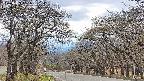 takano2-20250423131032.jpg