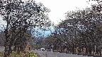 takano2-20250423163030.jpg