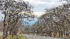 takano2-20250423172032.jpg