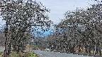 takano2-20250423183032.jpg