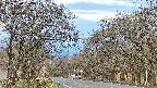 takano2-20250424052029.jpg