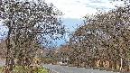 takano2-20250424054031.jpg