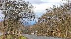 takano2-20250424061030.jpg