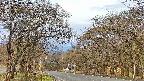 takano2-20250424063031.jpg
