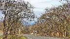 takano2-20250424064030.jpg