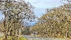 takano2-20250424065030.jpg