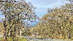 takano2-20250424070030.jpg