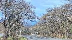 takano2-20250424071030.jpg
