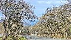 takano2-20250424072031.jpg