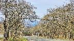 takano2-20250424081031.jpg