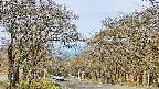 takano2-20250424082031.jpg