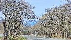 takano2-20250424083029.jpg